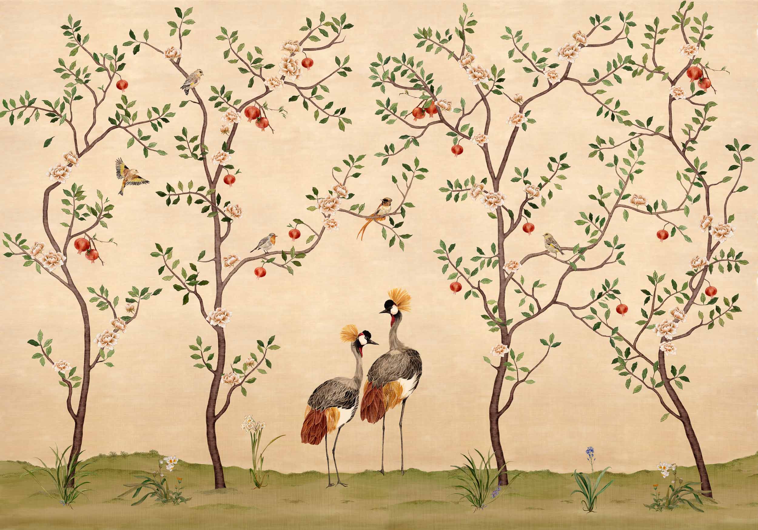 Crowned Crane, Nacre, Coordonne